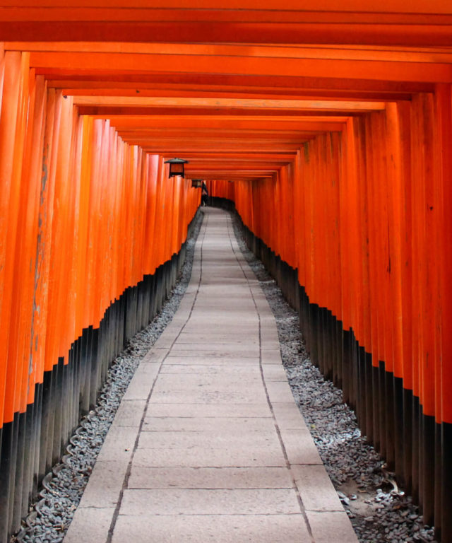 Long-term vision and trajectory